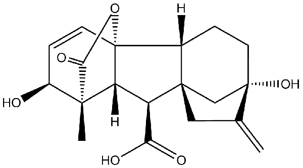 赤霉素GIBBERELLIC ACID，居然有這么神奇？